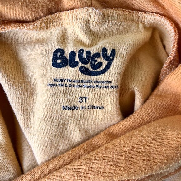 [KID 3T] Bluey Bingo T-Shirt Fun Hoodie Toddler Play Shirt Dress Up Costume - Picture 5 of 5